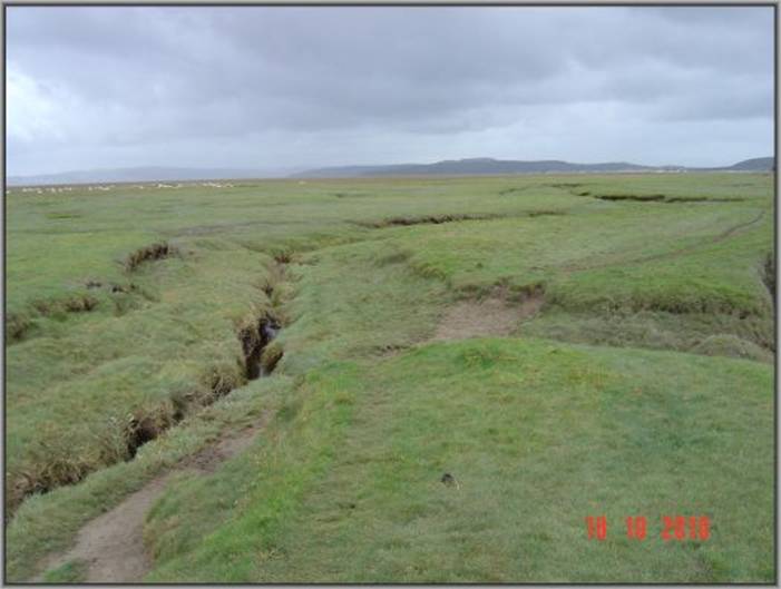 image008